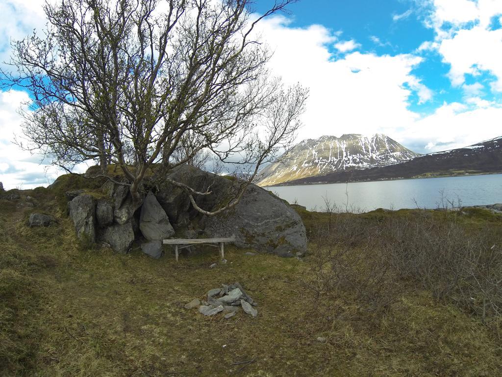 הוילה Nord-Lenangen Lyngen Fjordcamp מראה חיצוני תמונה
