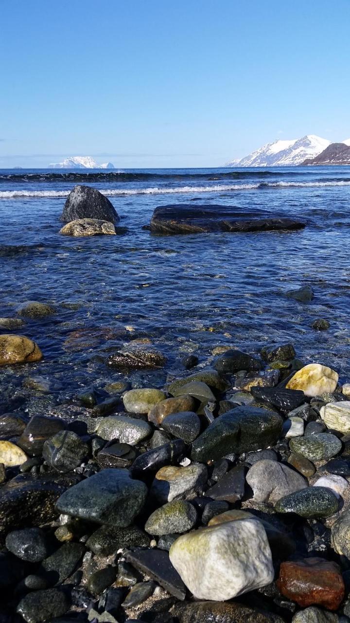 הוילה Nord-Lenangen Lyngen Fjordcamp מראה חיצוני תמונה