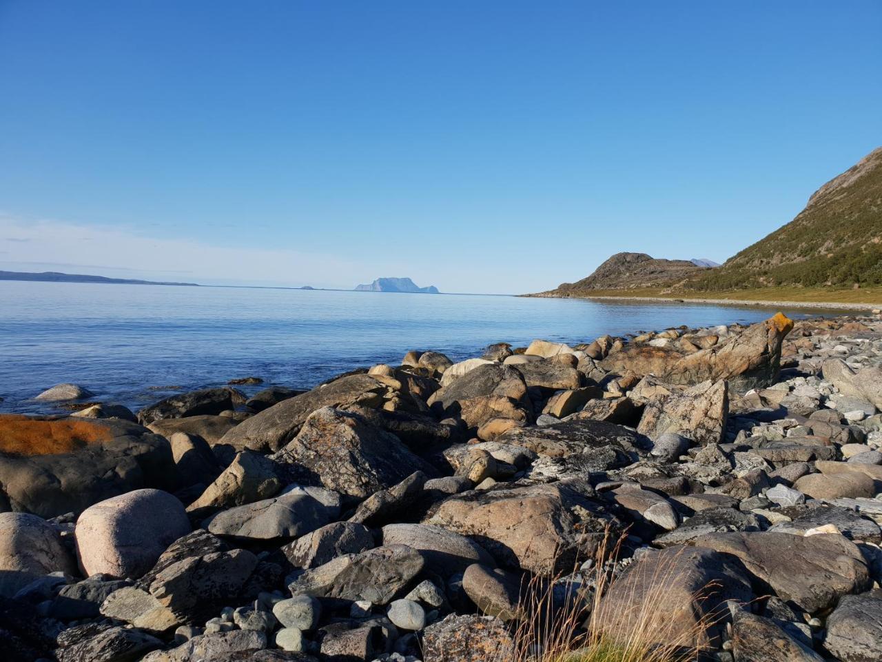 הוילה Nord-Lenangen Lyngen Fjordcamp מראה חיצוני תמונה